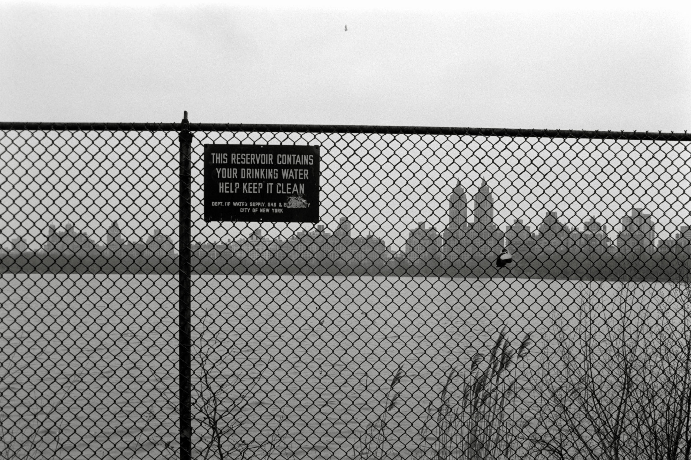 AHP F1995 04 005 sc240817 img02 NLP